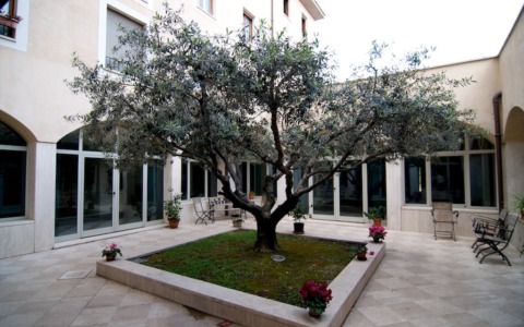 albero-porta-nevia
