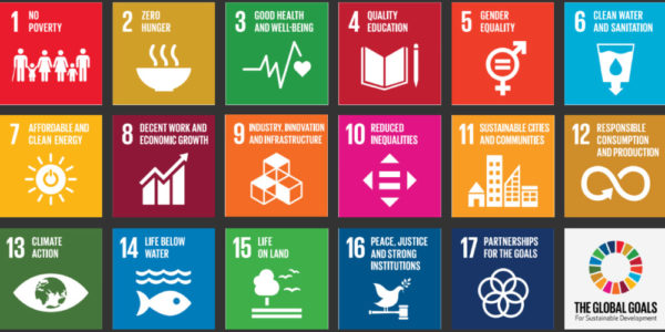 I 17 obiettivi globali per uno sviluppo sostenibile (SDG) proposti dall'ONU