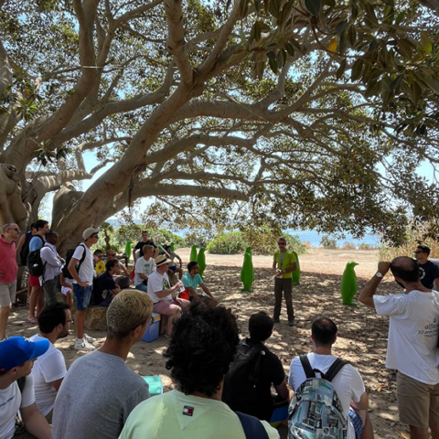Calarossa Summer School