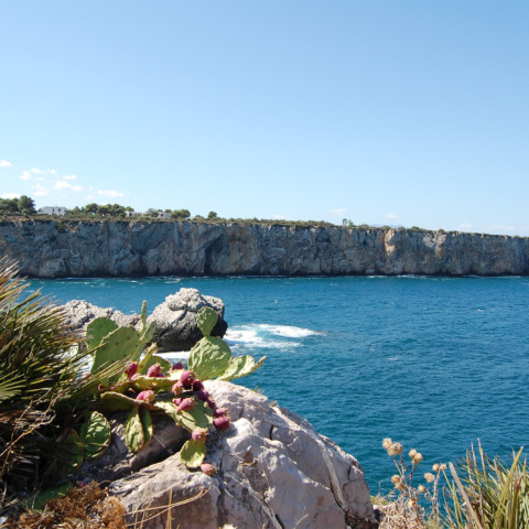 Calarossa Summer School