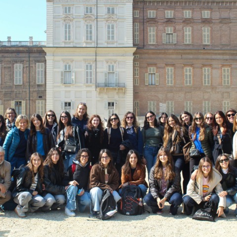 Senior Viscontea